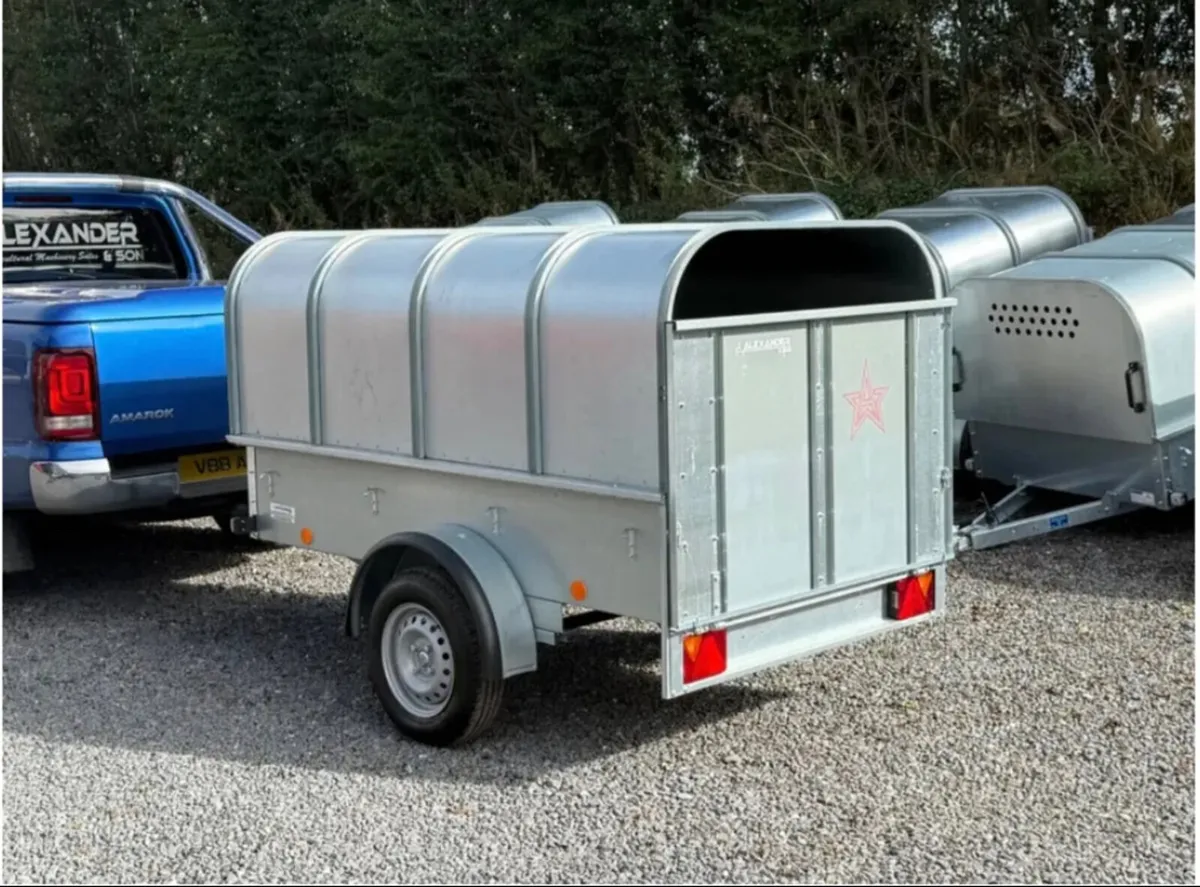 YOUNGSTOCK TRAILER 7x4 NEW - Image 2