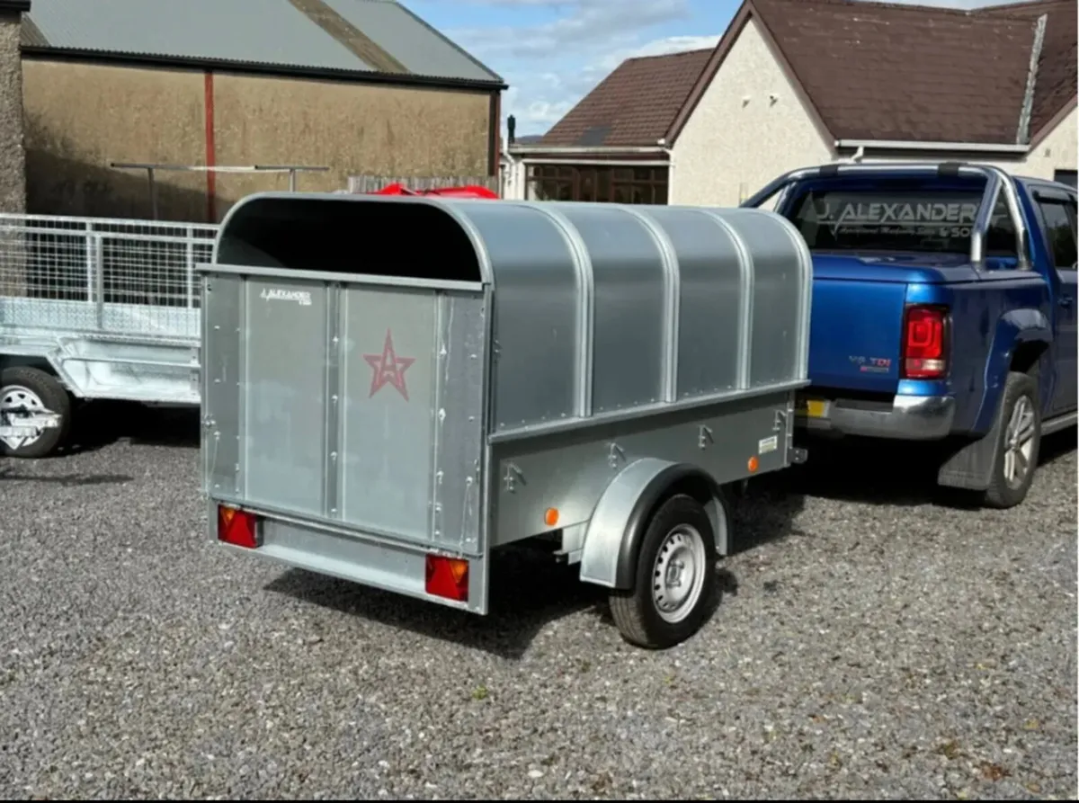 YOUNGSTOCK TRAILER 7x4 NEW - Image 3