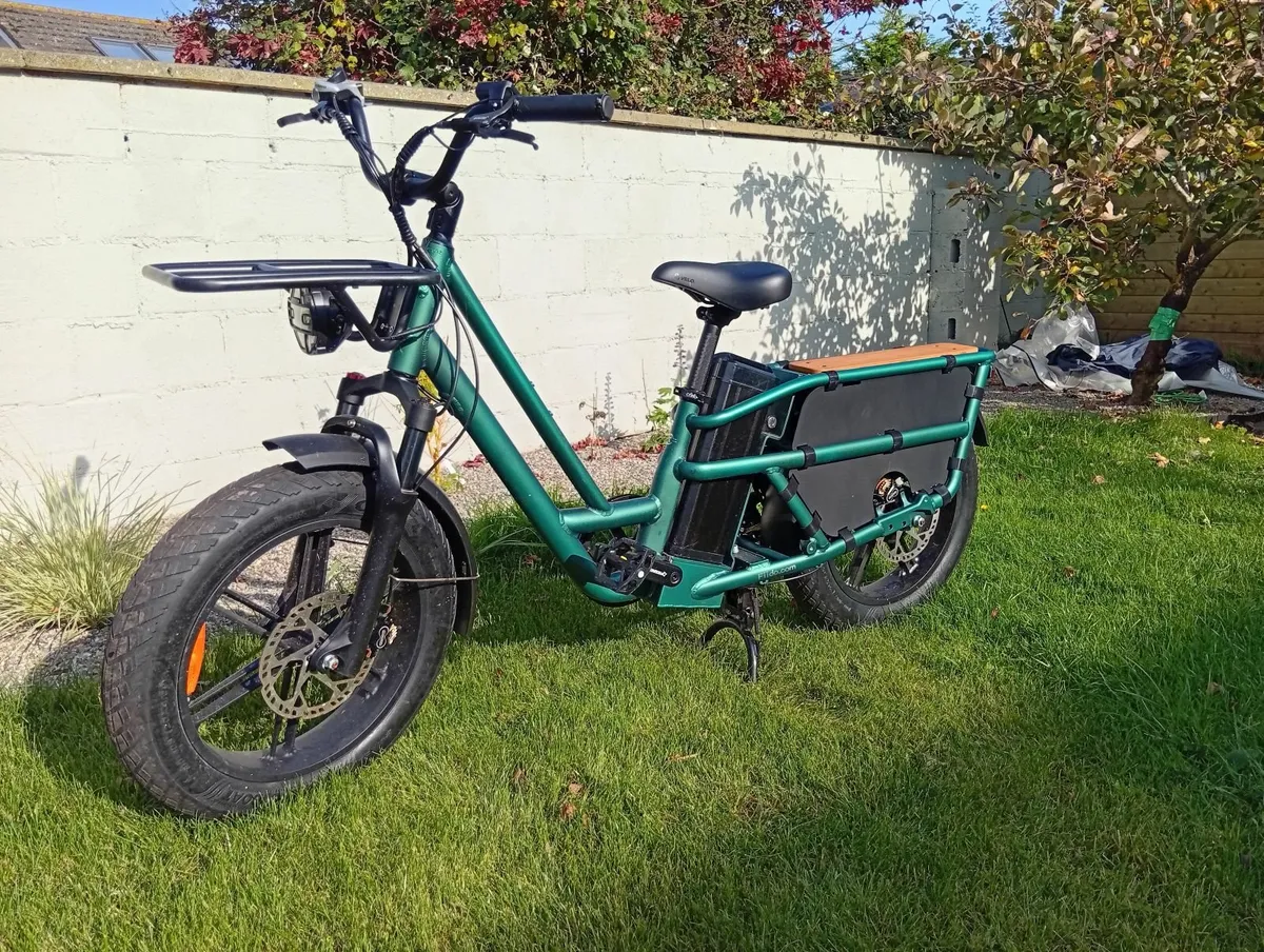 Electric bike