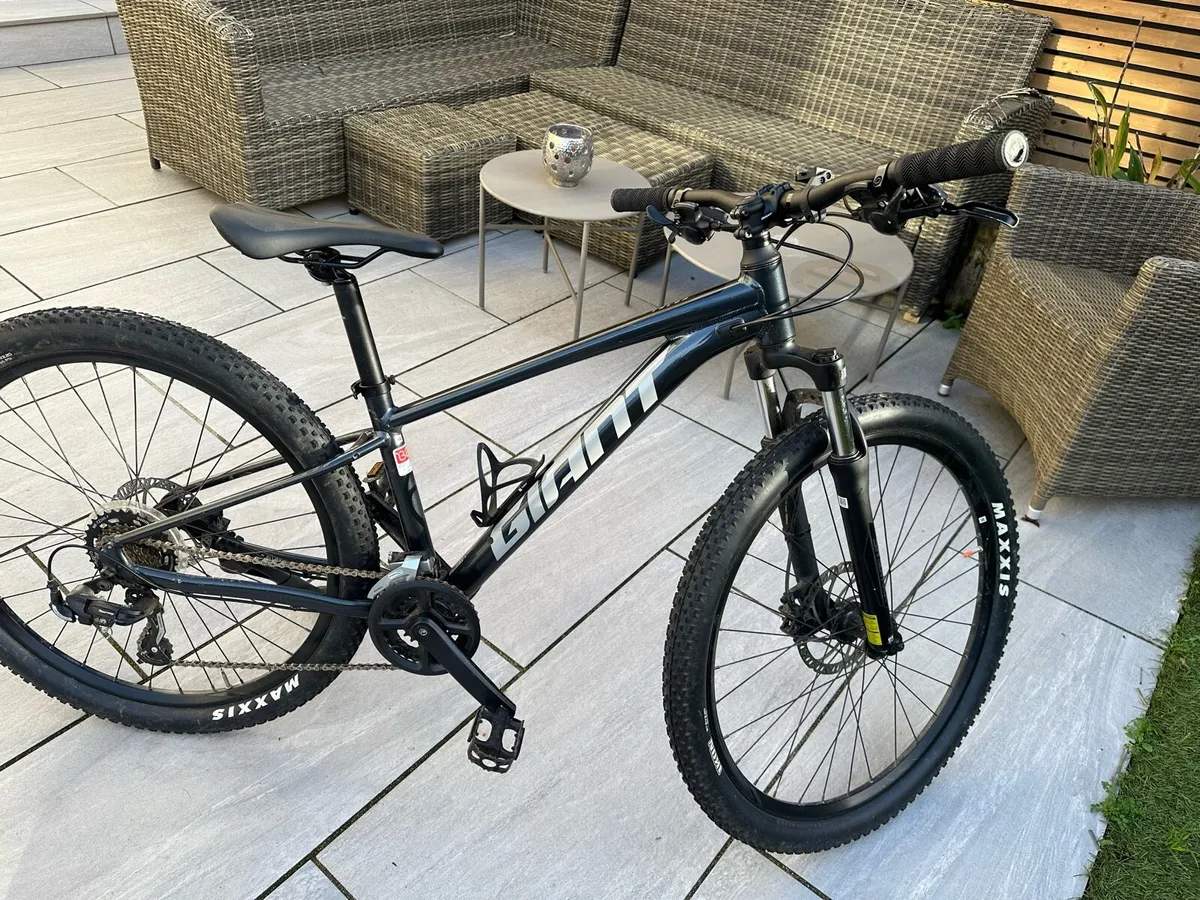 Mountain bike - Image 1