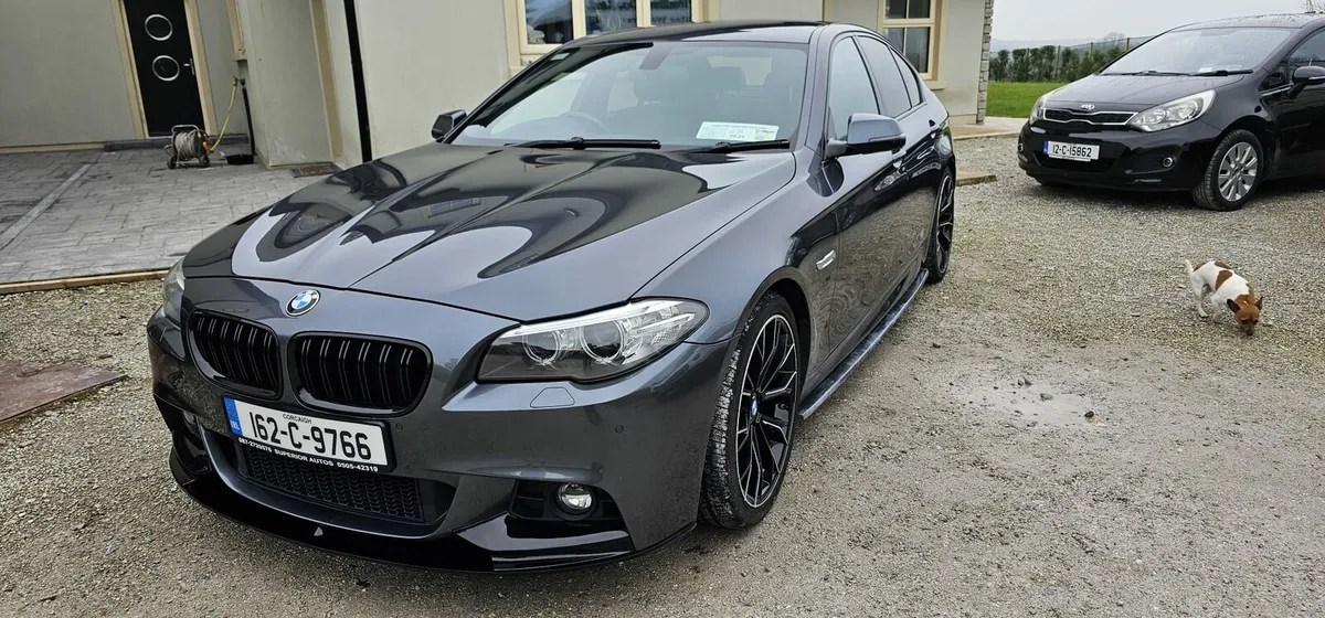 Bmw 520d msport - Image 1