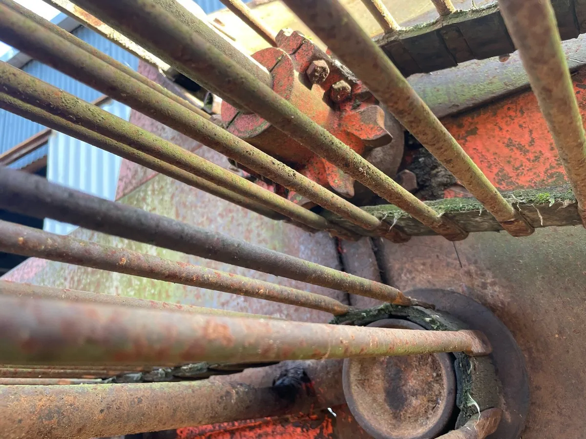 Todd beet cleaner loader - Image 2