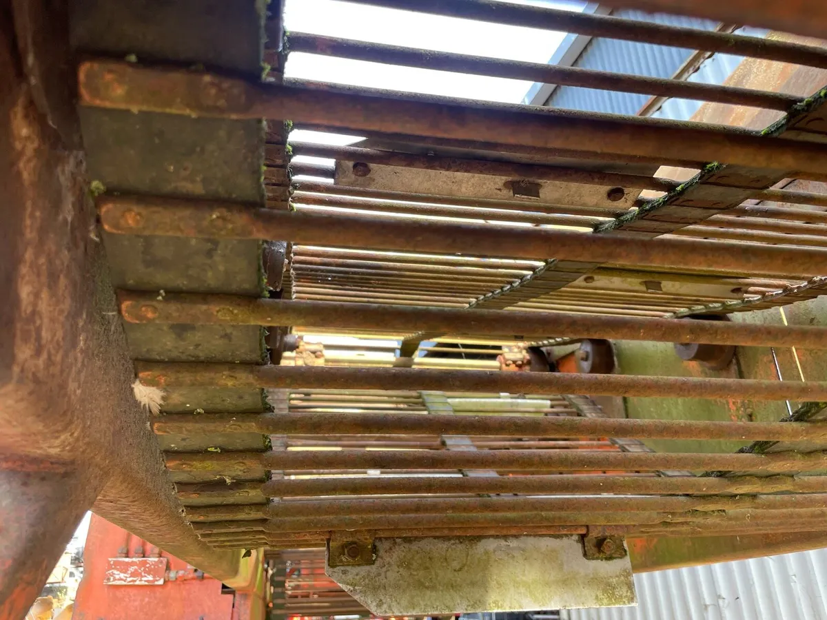 Todd beet cleaner loader - Image 3