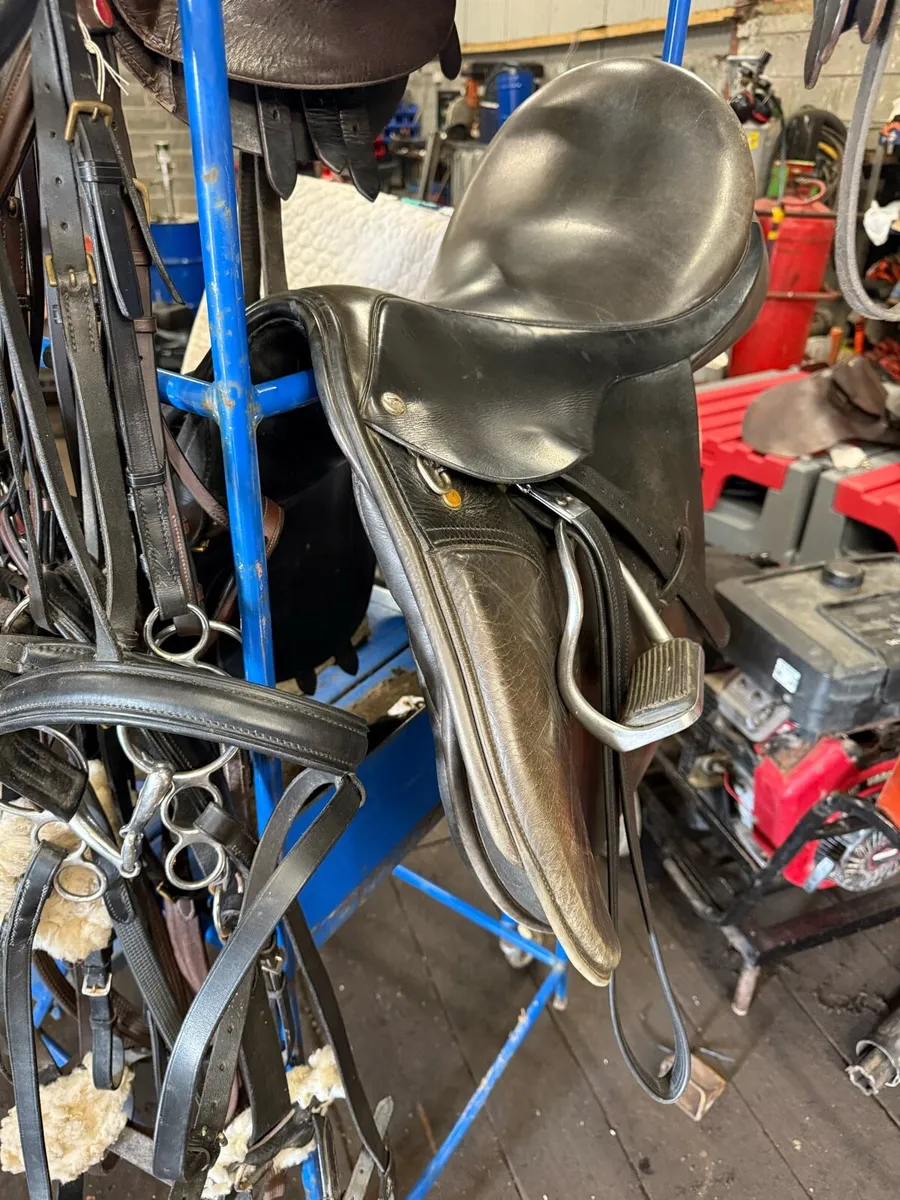 Saddle - Image 2