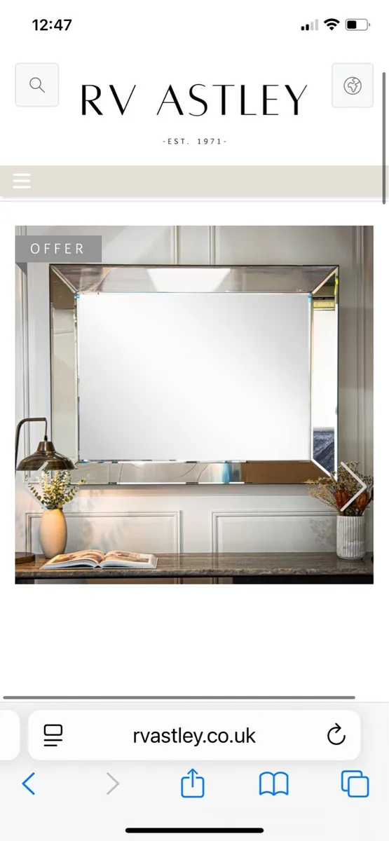 Large Mirror by RV Astley - Image 1
