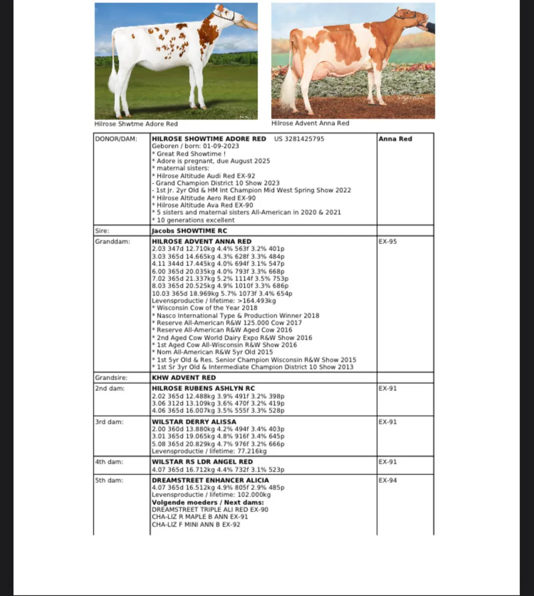 Anna Red embryos - Image 2