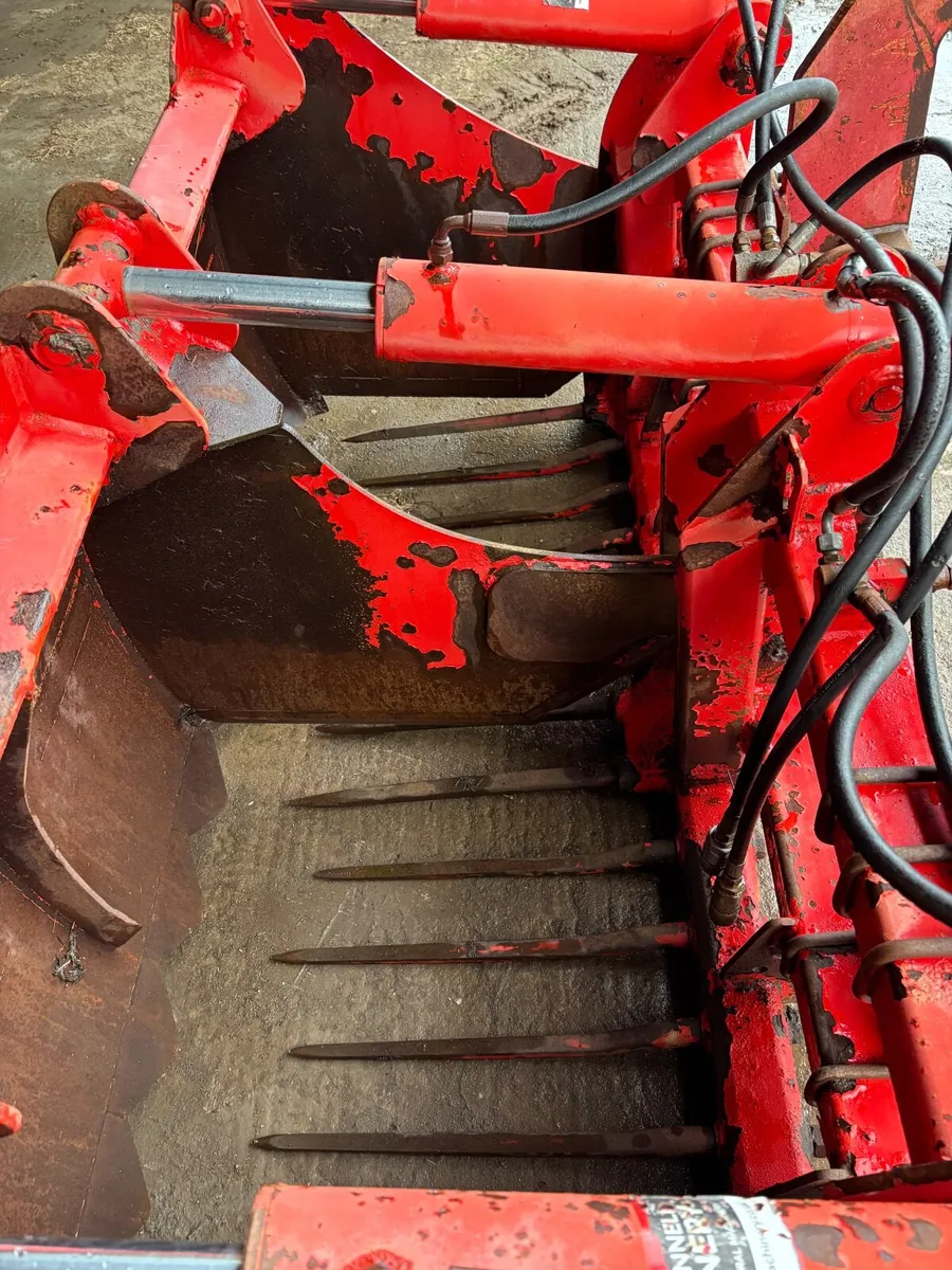 Nc sheargrab - Image 3