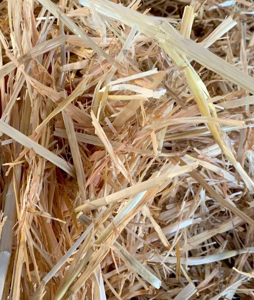 🌾🌾 straw all types 🌾🌾 - Image 1