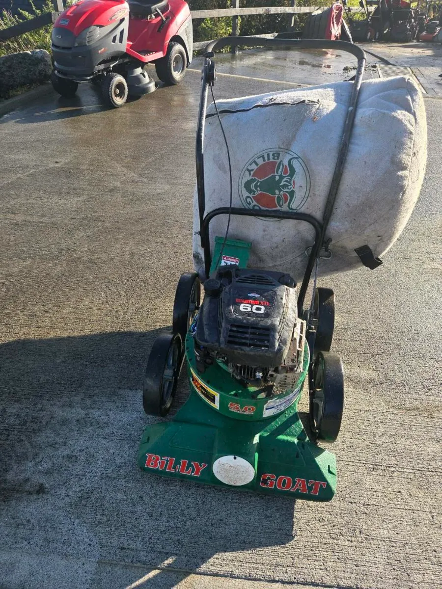 Leaf collection - Image 1