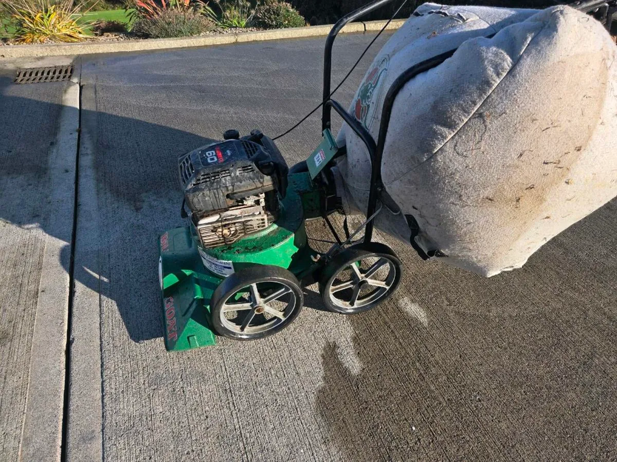 Leaf collection - Image 2