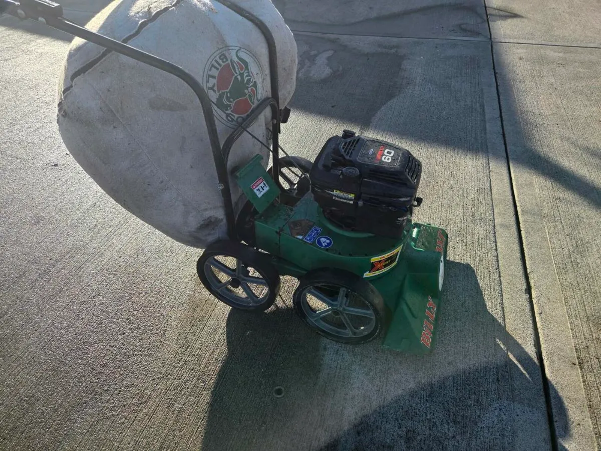 Leaf collection - Image 3