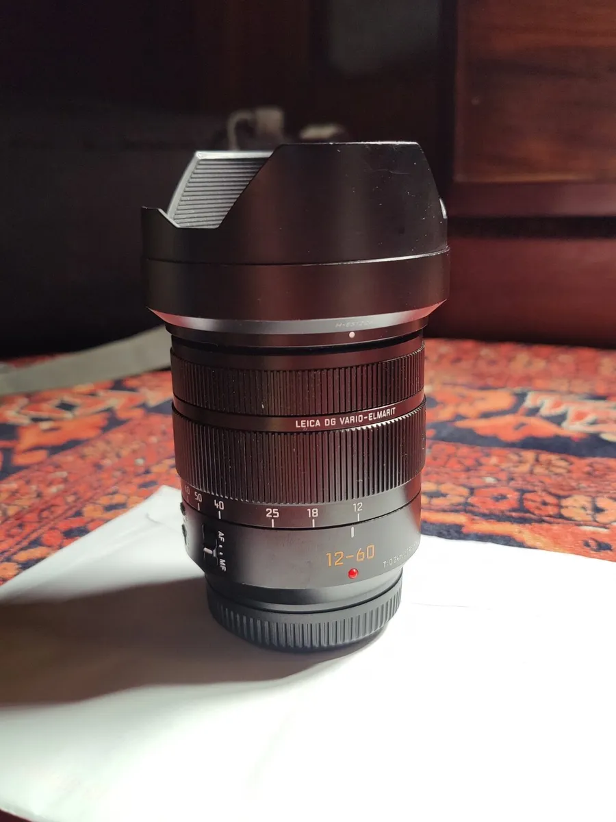 Panasonic Leica DG Vario-Elmarit 12-60mm f/2.8-4.0 - Image 1