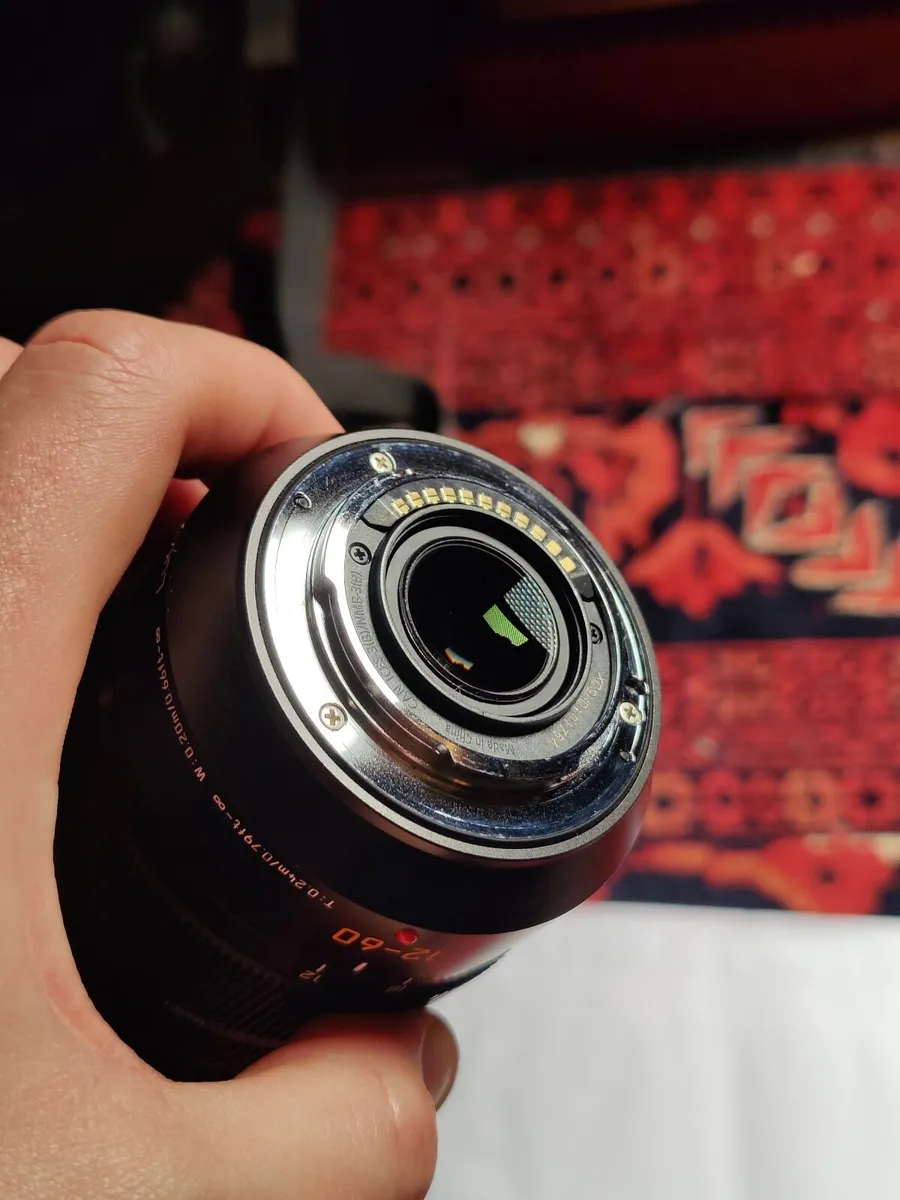 Panasonic Leica DG Vario-Elmarit 12-60mm f/2.8-4.0 - Image 2