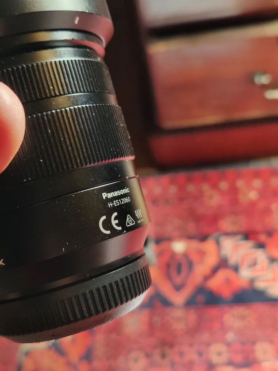 Panasonic Leica DG Vario-Elmarit 12-60mm f/2.8-4.0 - Image 4