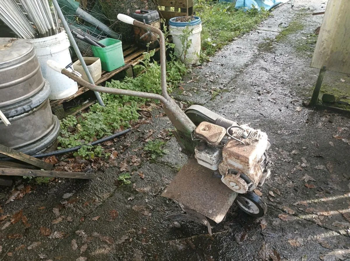Small garden tiller rotovator - Image 1
