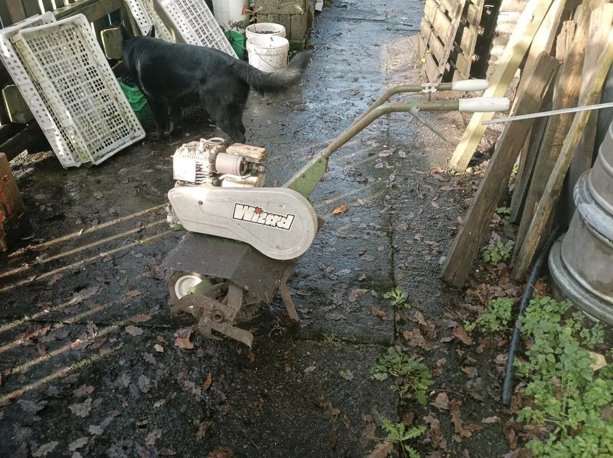 Small garden tiller rotovator - Image 3