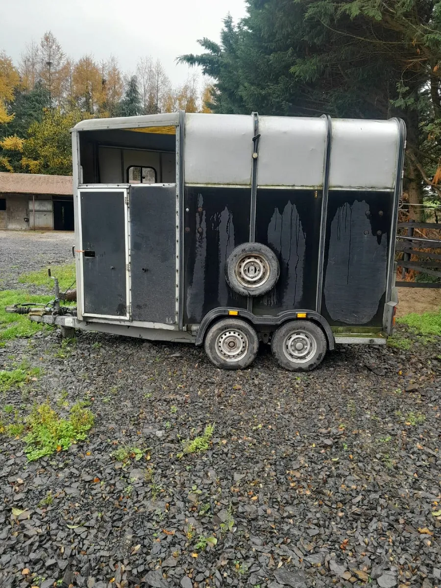 Horse box - Image 3