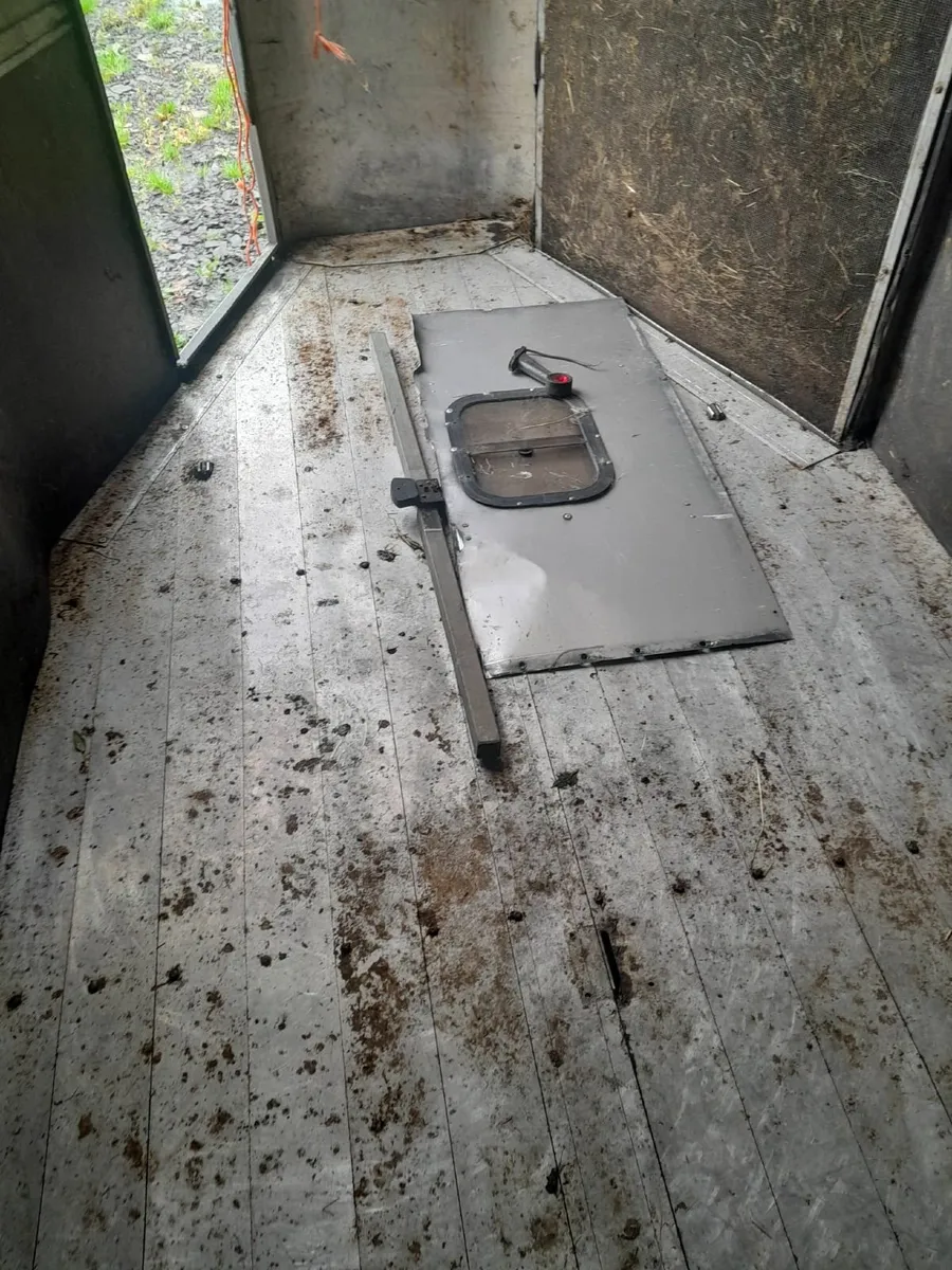 Horse box - Image 4