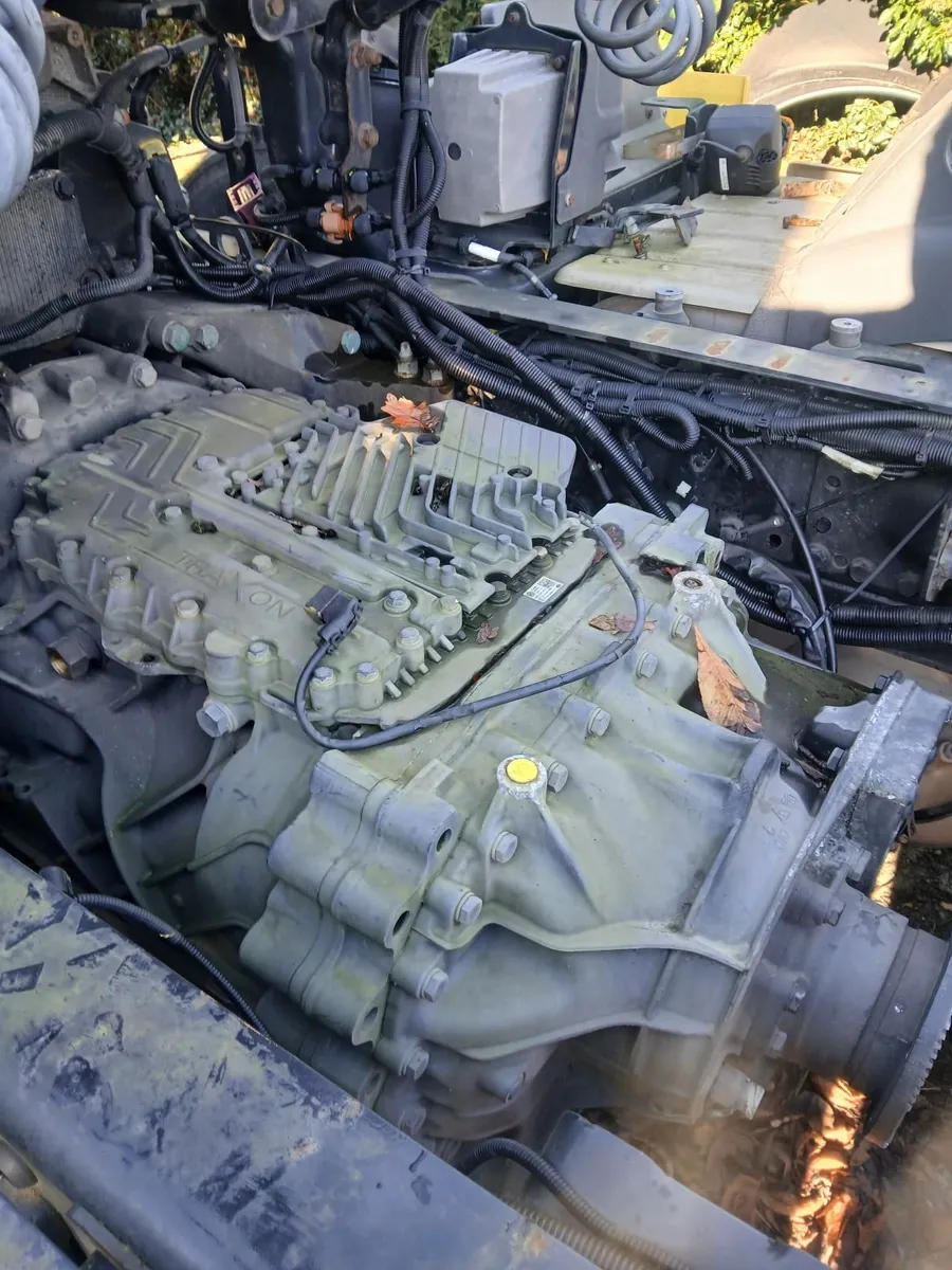 Man Other 2017 - Image 2