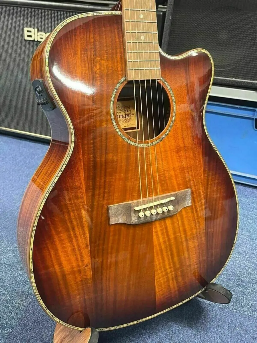 Freshman Electro Acoustic Guitar with Case - Image 1