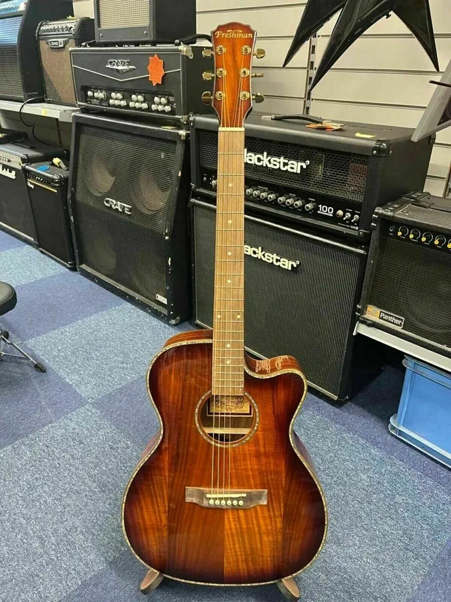 Freshman Electro Acoustic Guitar with Case - Image 2