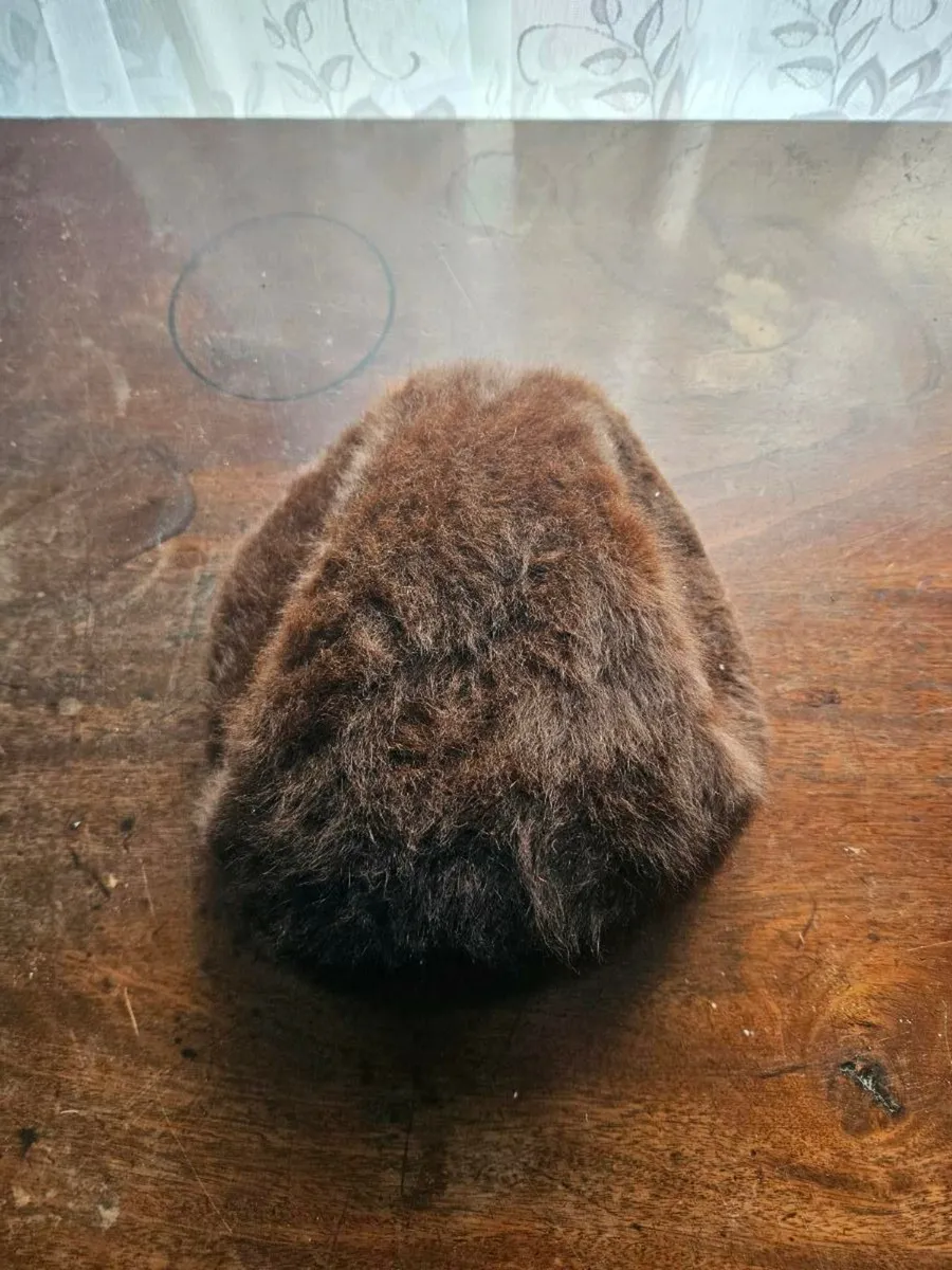 Vintage Fur Hat - Image 1