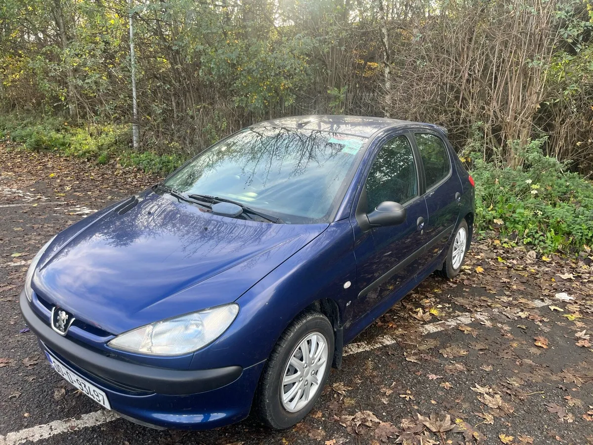 Peugeot 206 LX 1.1 - Image 4