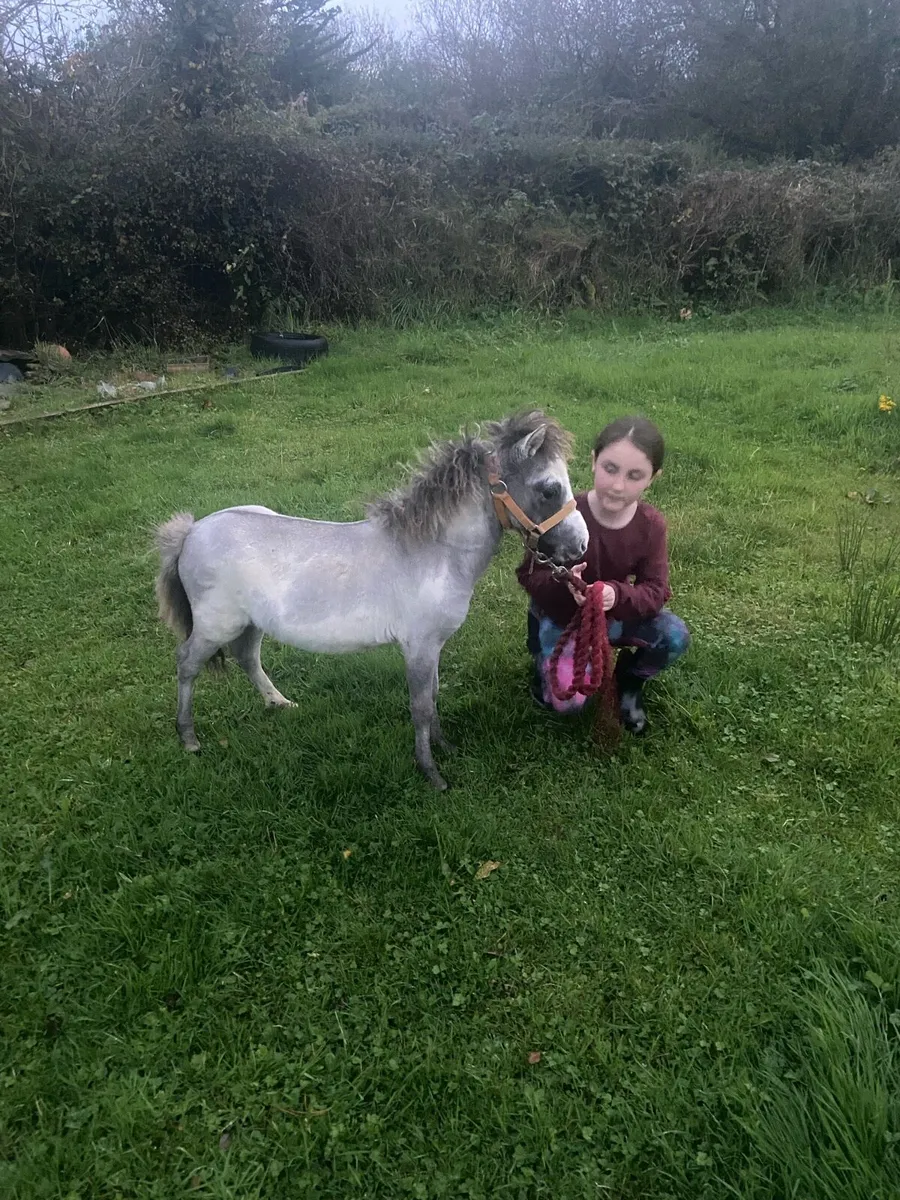 😍TINY 27” RALPH - Image 2