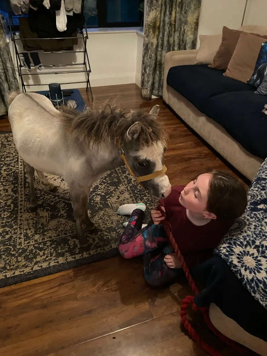 😍TINY 27” RALPH - Image 3