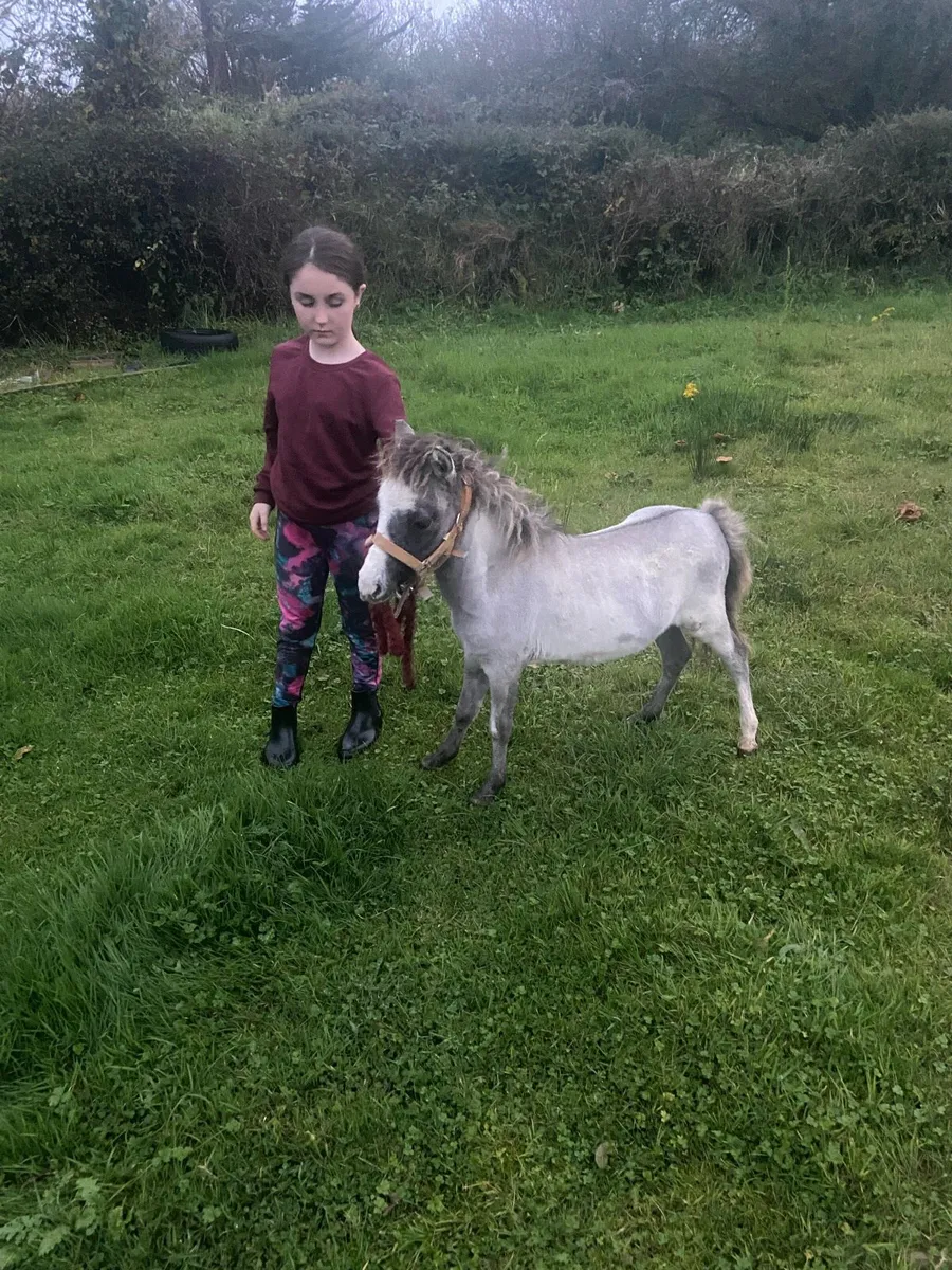 😍TINY 27” RALPH - Image 4