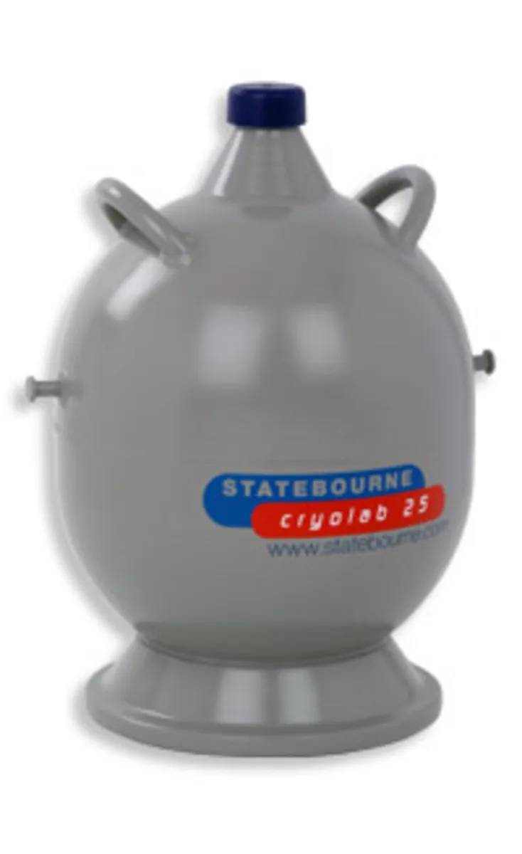 Liquid nitrogen tank - Image 2