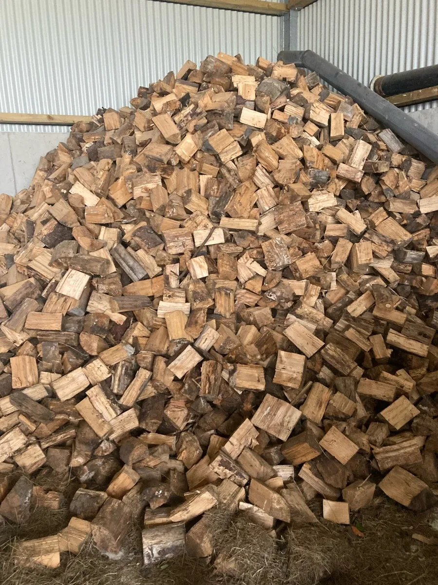 Timber for Sale - Image 3