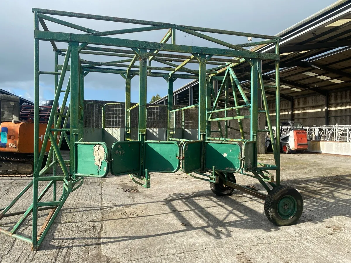 Starter stalls - Image 1