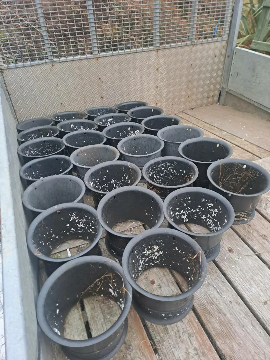 Top entry necks - Image 1