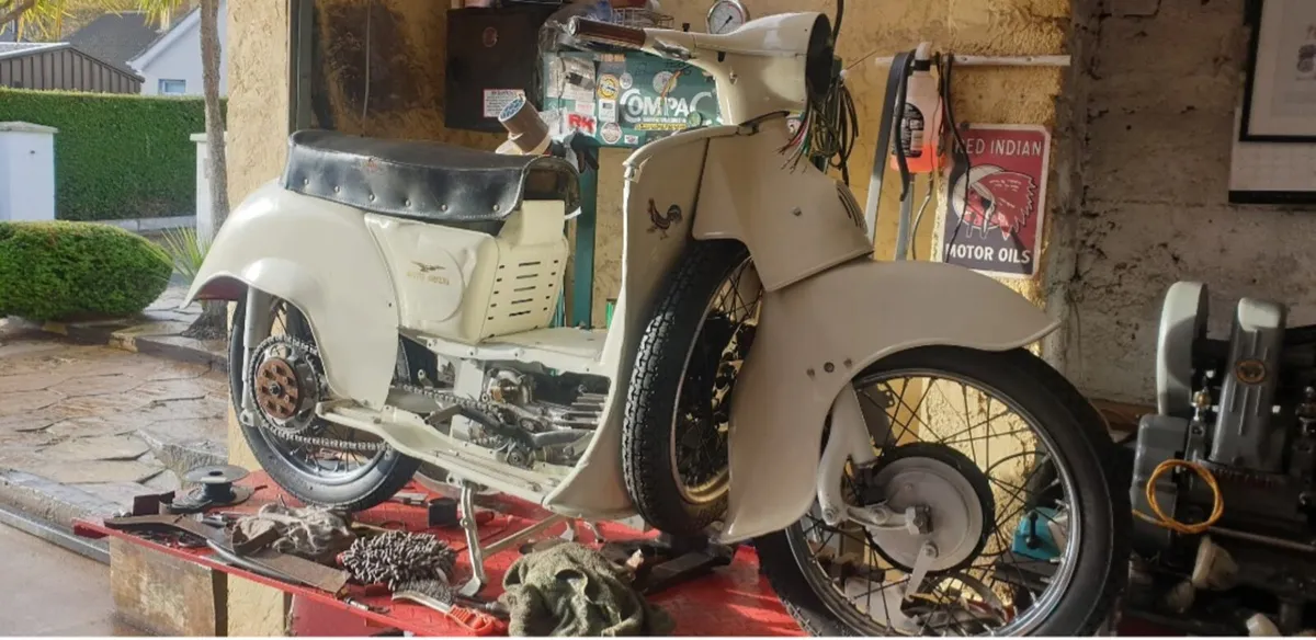 Moto guzzi galletto 200cc - Image 3