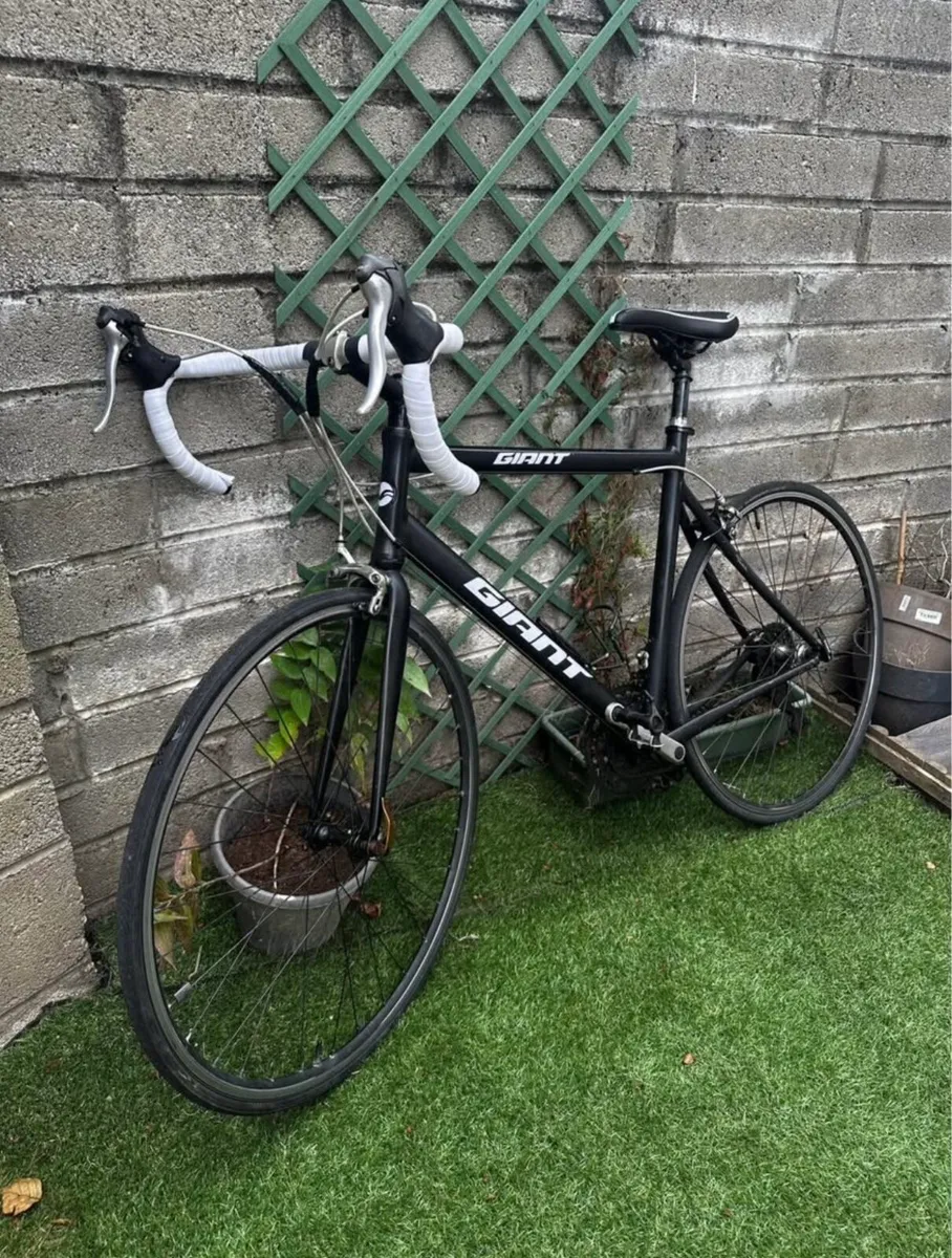 Giant bike - Image 1
