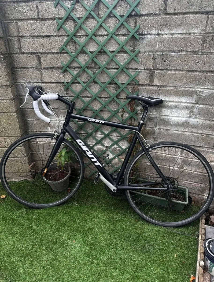 Giant bike - Image 2