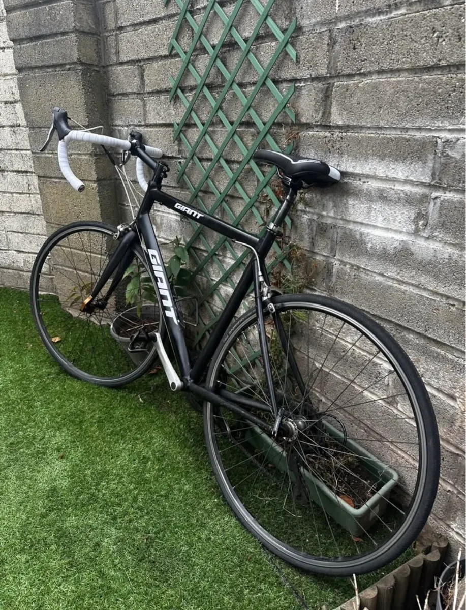 Giant bike - Image 3