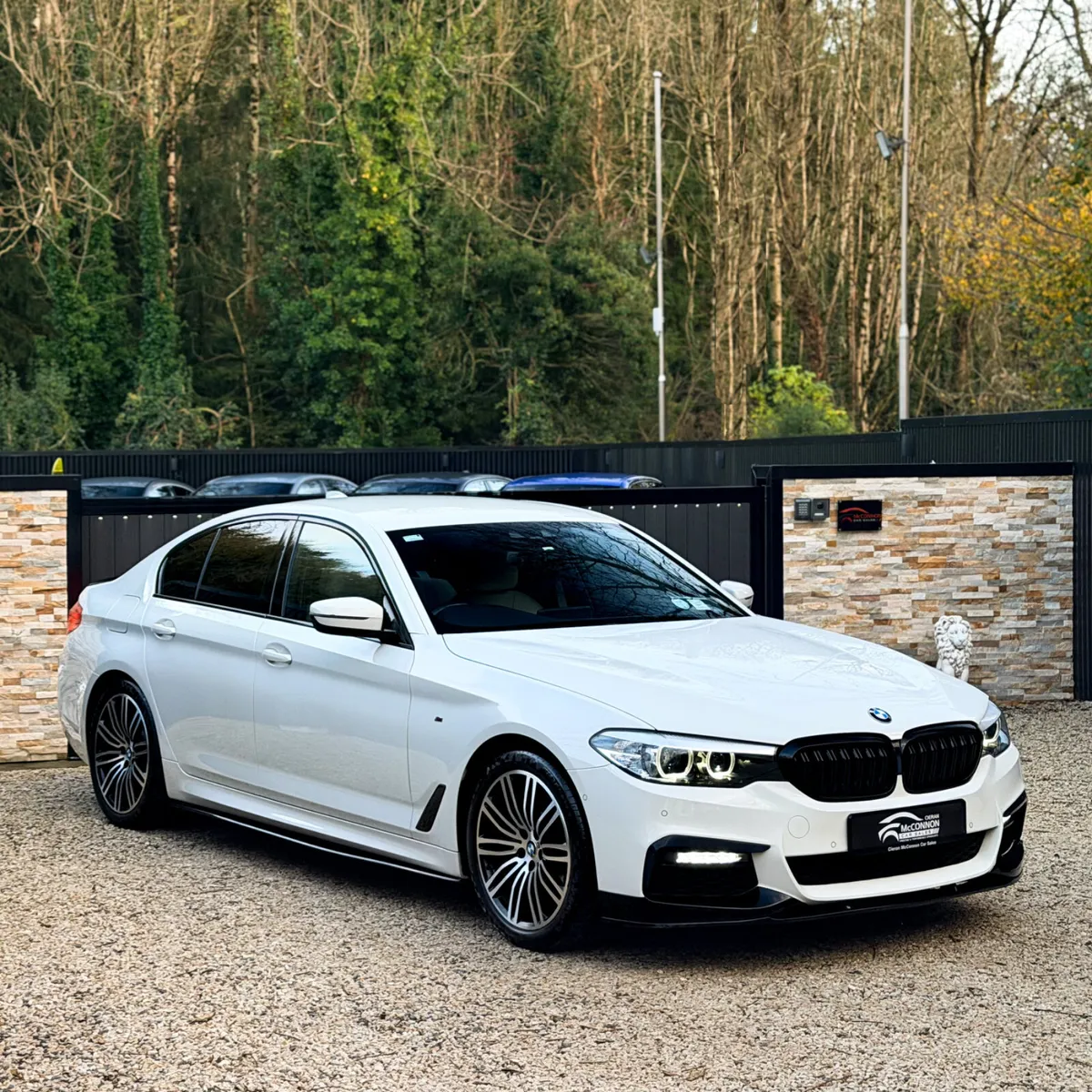 2019 (191) BMW 520D MSPORT **IMMACULATE - Image 1