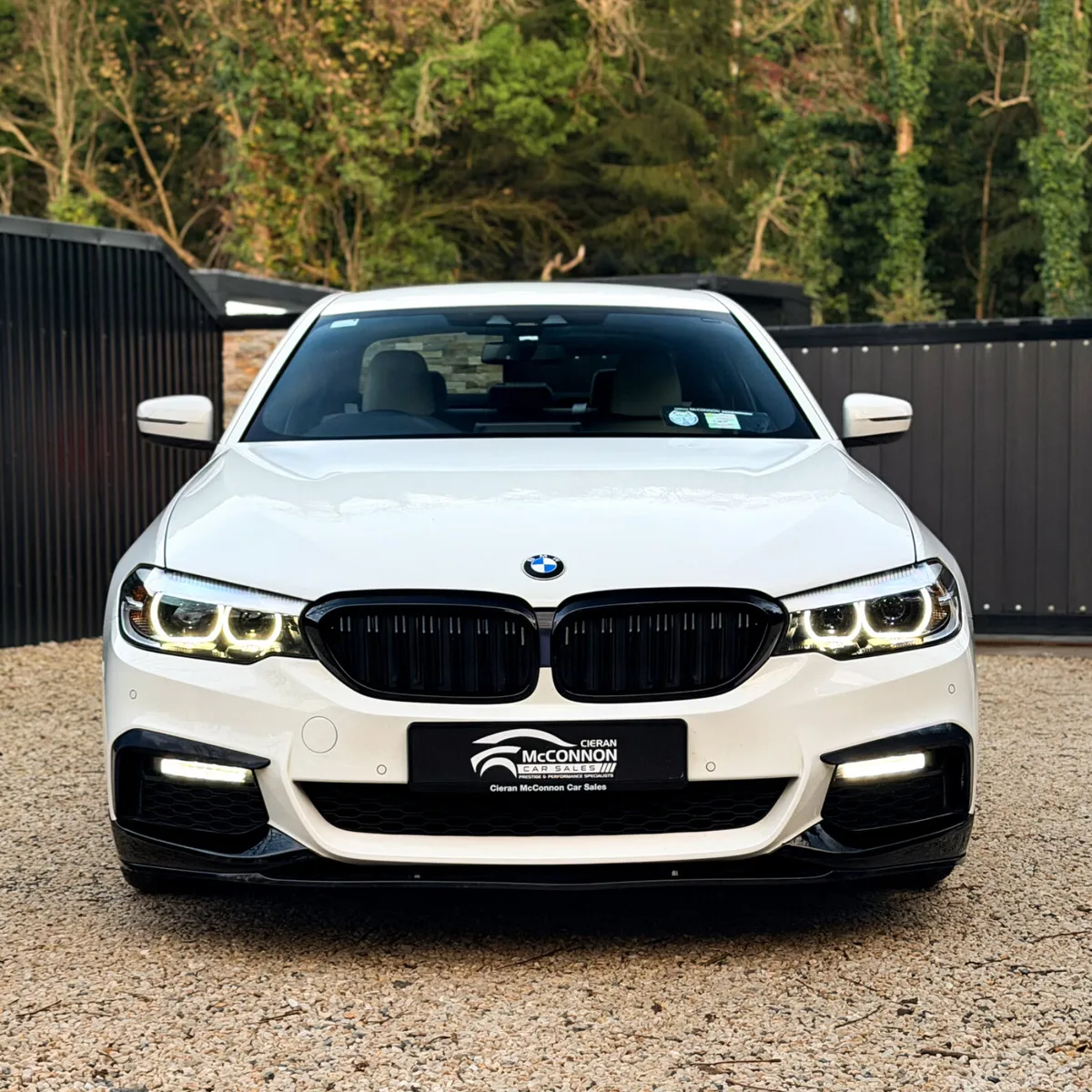 2019 (191) BMW 520D MSPORT **IMMACULATE - Image 3