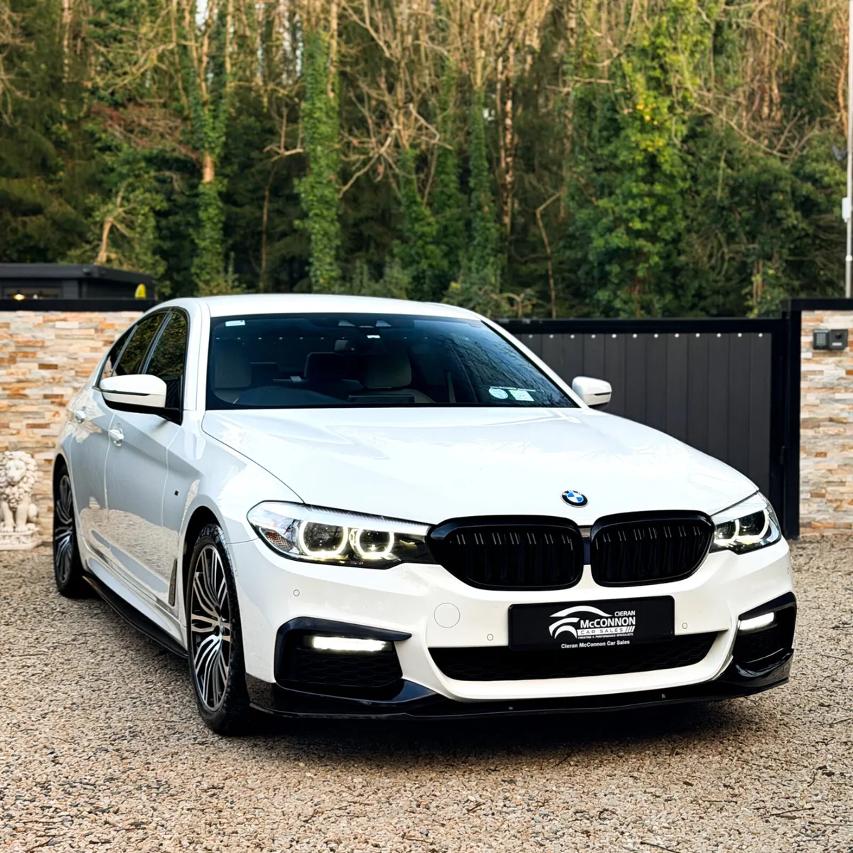 2019 (191) BMW 520D MSPORT **IMMACULATE - Image 2