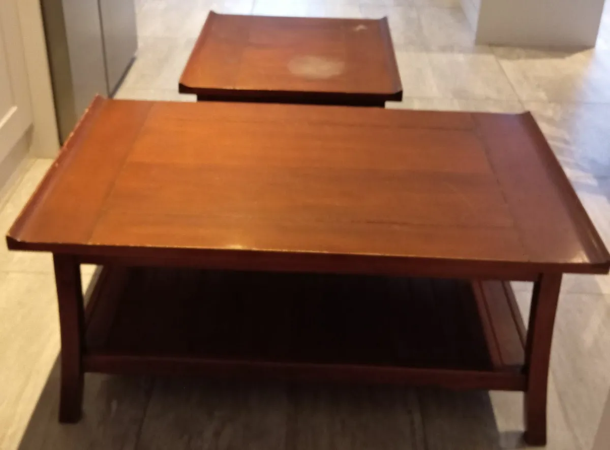 Coffee Table and Side Table - Image 1