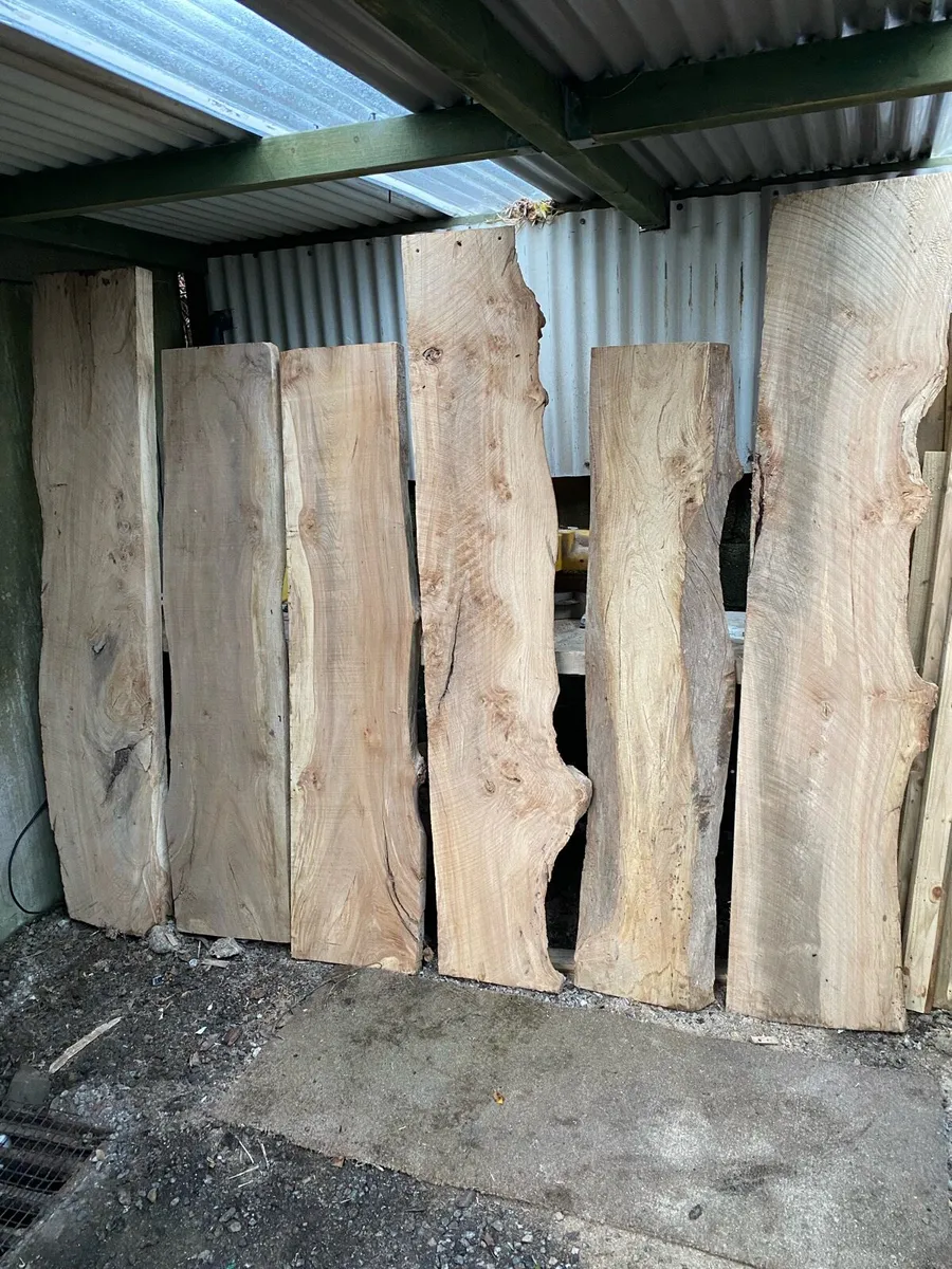 Live edge tree planks - Image 1