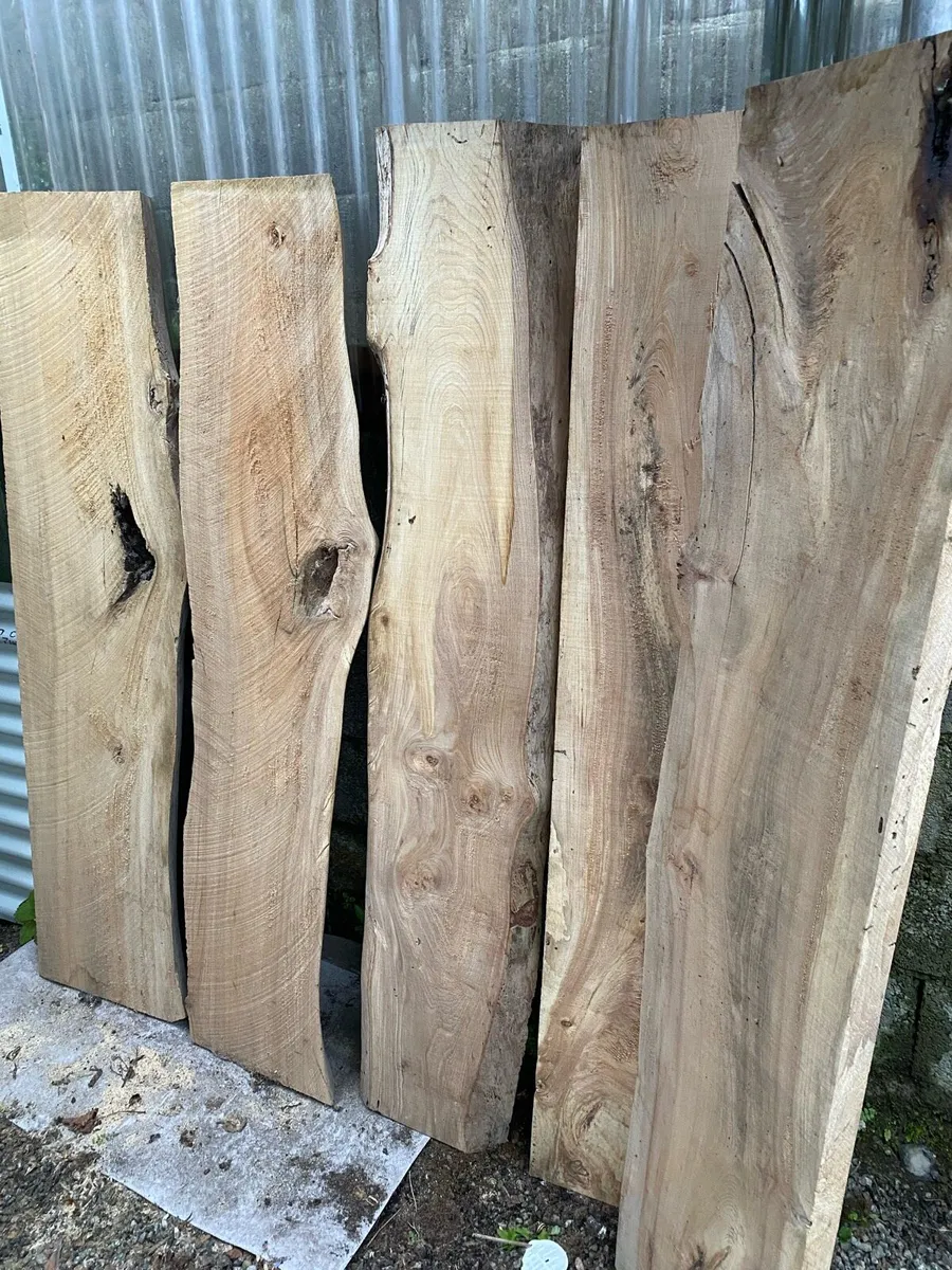 Live edge tree planks - Image 2