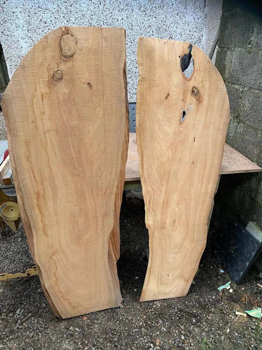 Live edge tree planks - Image 3