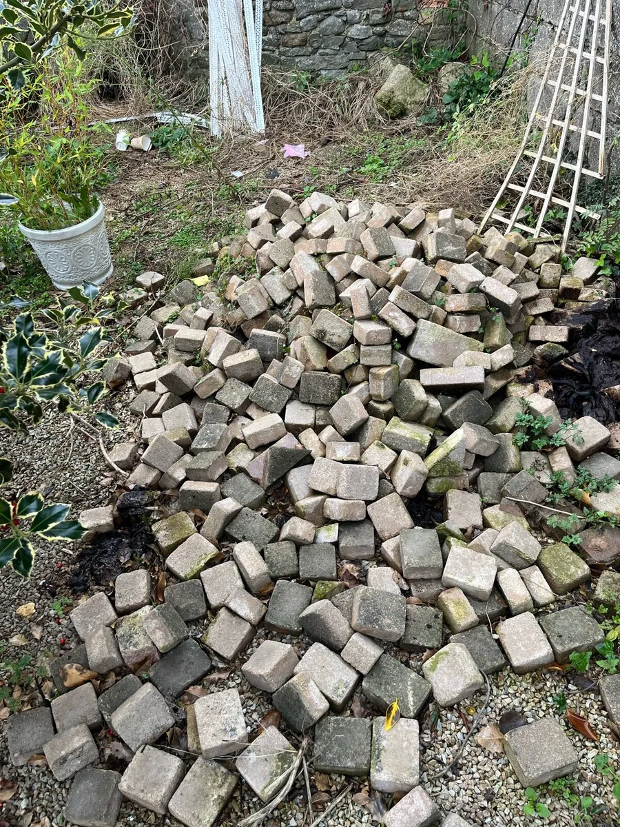 Patio cobble lock - Image 1