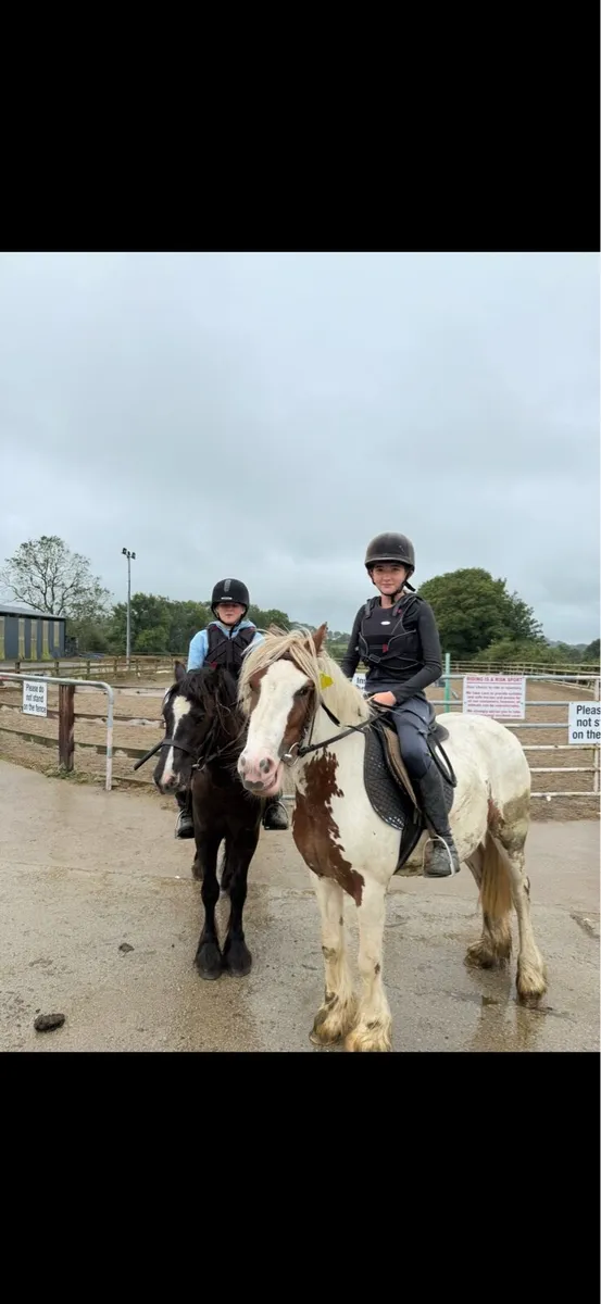 Bombproof 12.2 - Image 2