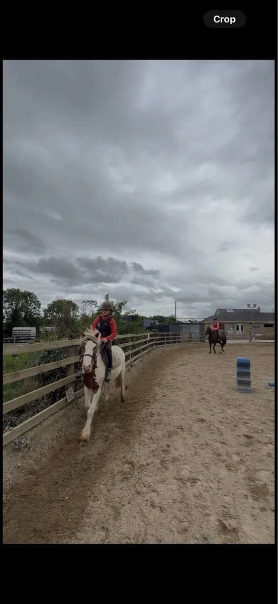 Bombproof 12.2 - Image 3