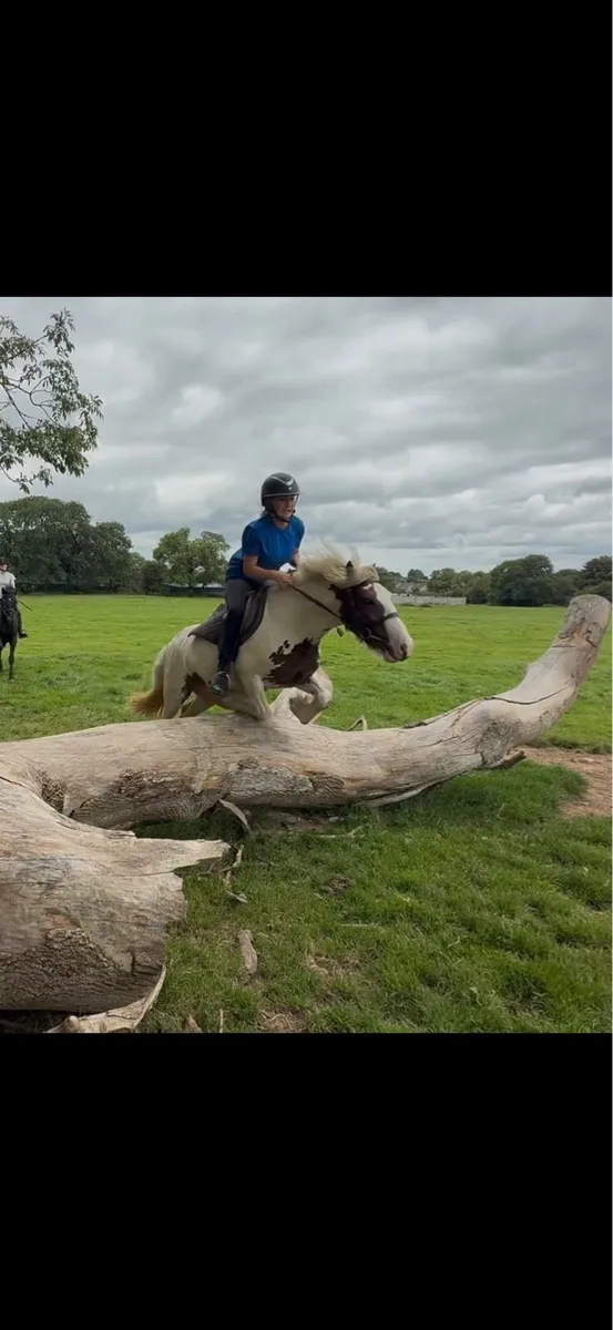 Bombproof 12.2 - Image 4