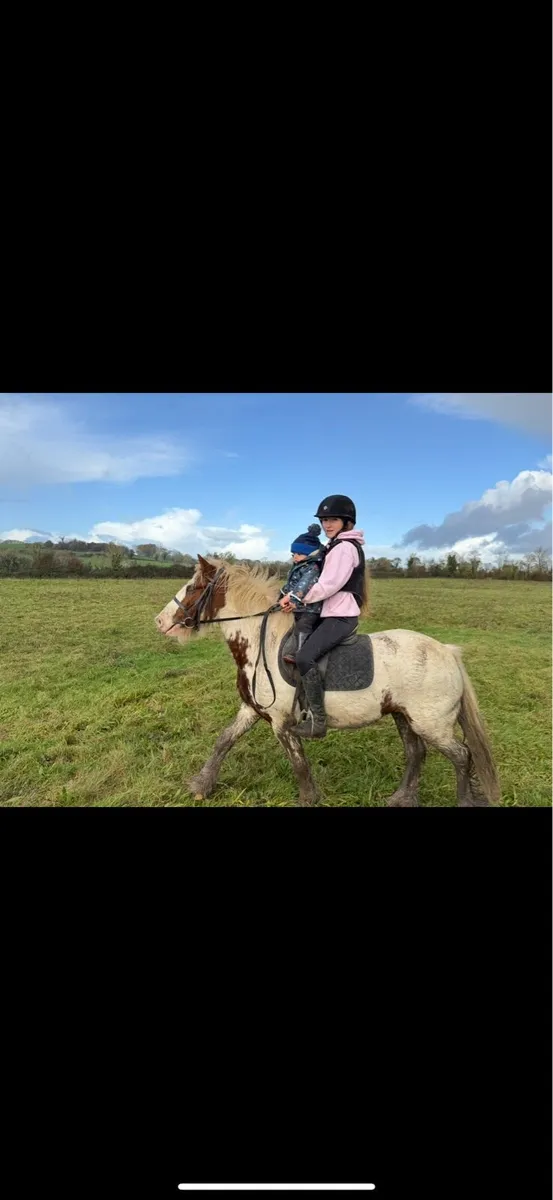 Bombproof 12.2 - Image 1